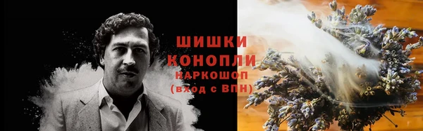 шишки Абаза