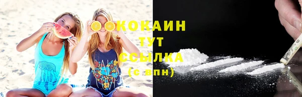 шишки Абаза