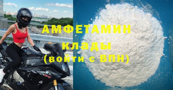 шишки Абаза