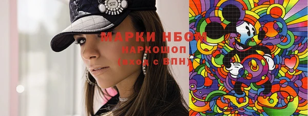 шишки Абаза