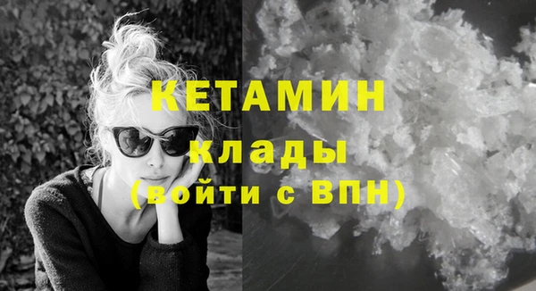 шишки Абаза