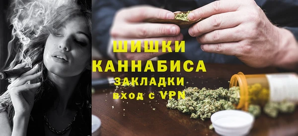 шишки Абаза