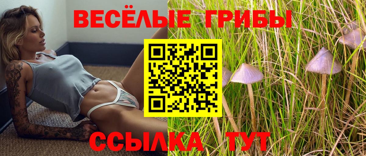 Псилоцибиновые грибы Psilocybine cubensis Киржач