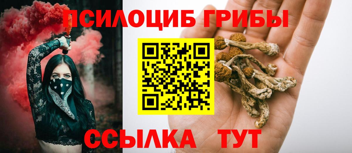 Киржач  Галлюциногенные грибы мицелий  Галлюциногенные грибы Psilocybine cubensis  Вход с VPN 